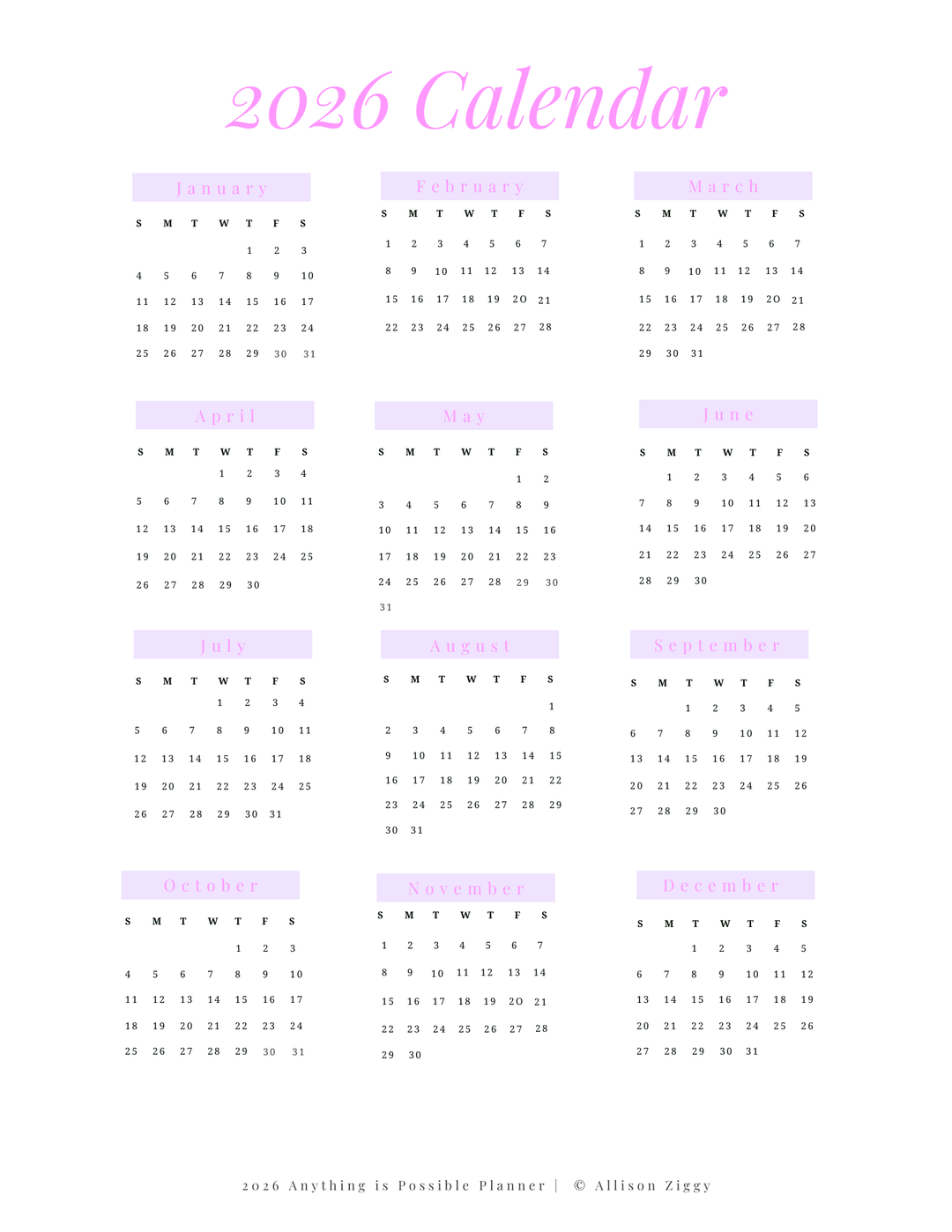 2026 ANYTHING IS POSSIBLE Planner