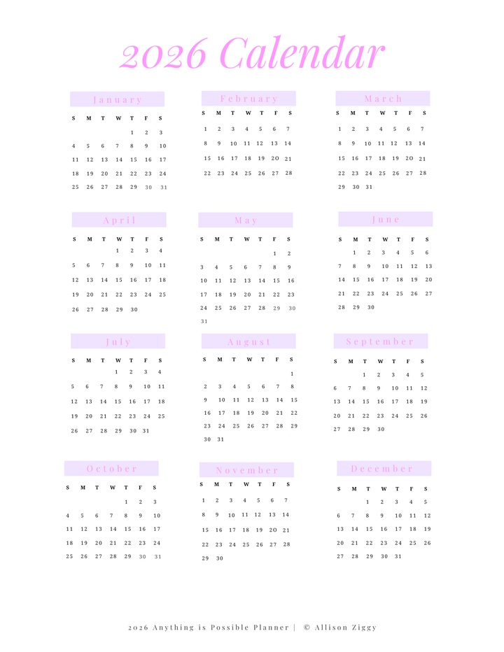 2026 ANYTHING IS POSSIBLE Planner